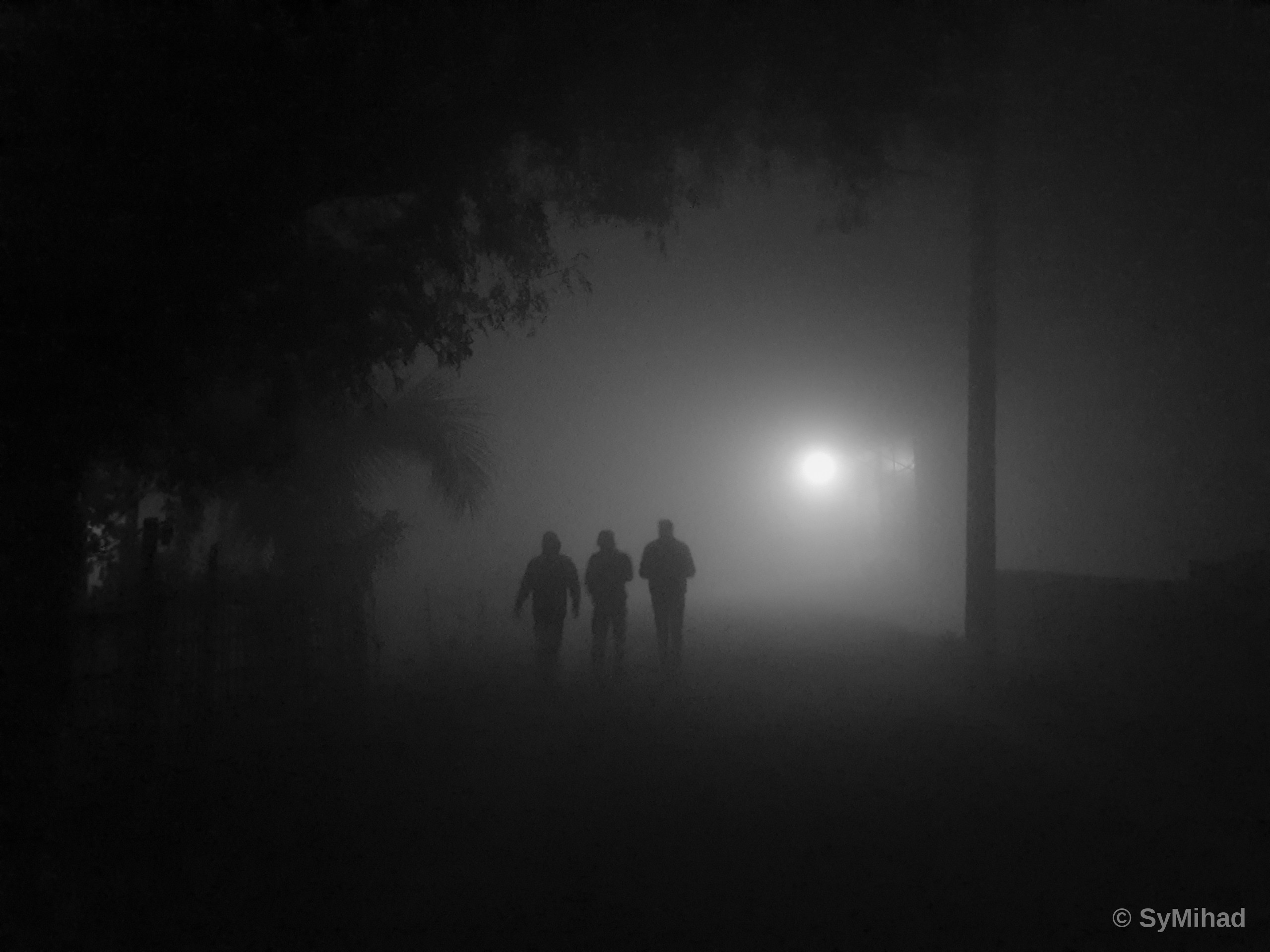 Three Men and the Fog