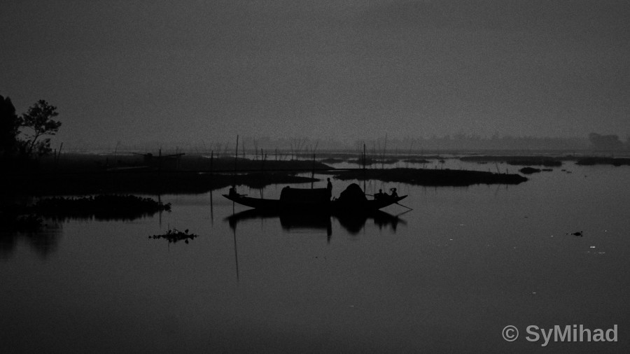 Wetland at Dusk (monochrome)