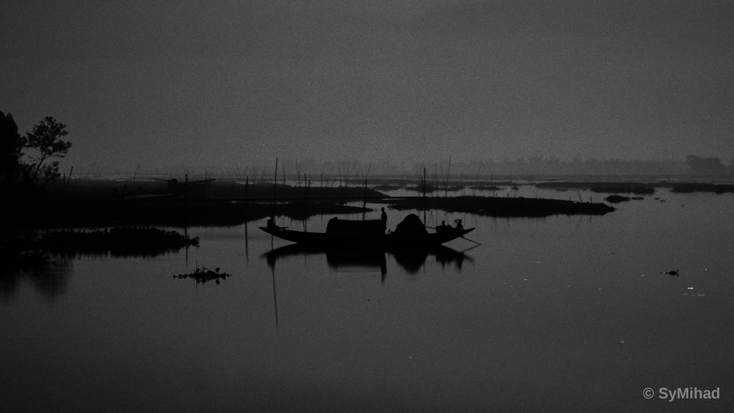 Wetland at Dusk (monochrome)