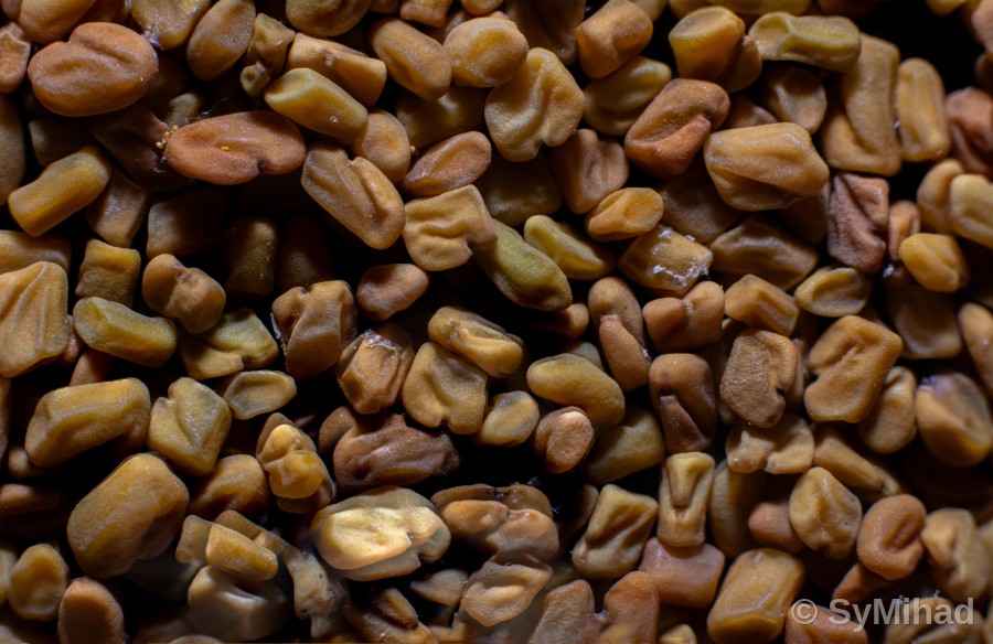 Golden Seeds (fenugreek)